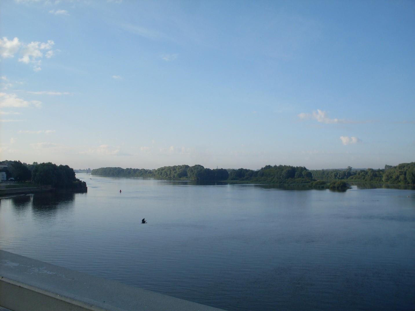 SDC15538.jpg