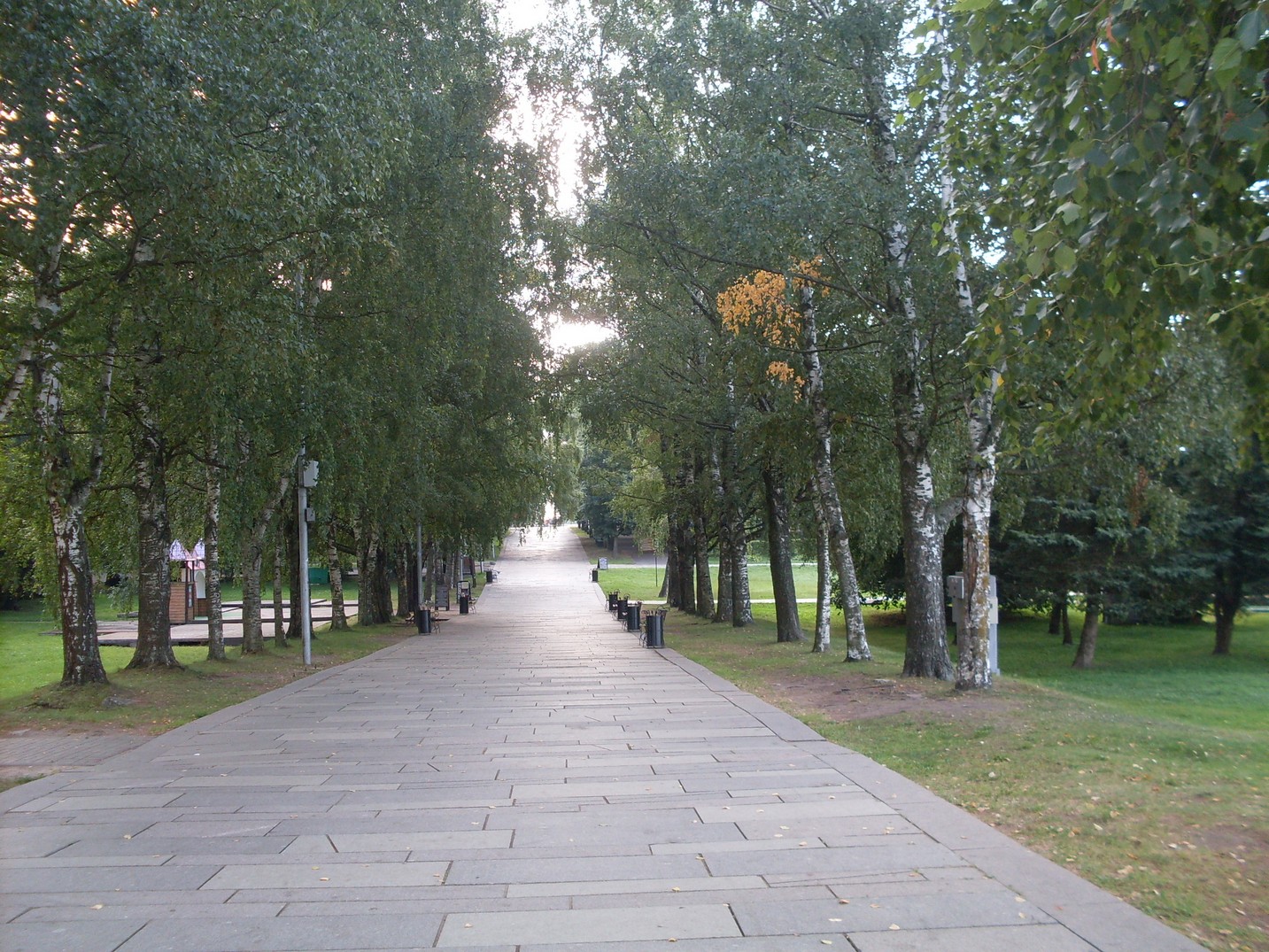 SDC15550.jpg