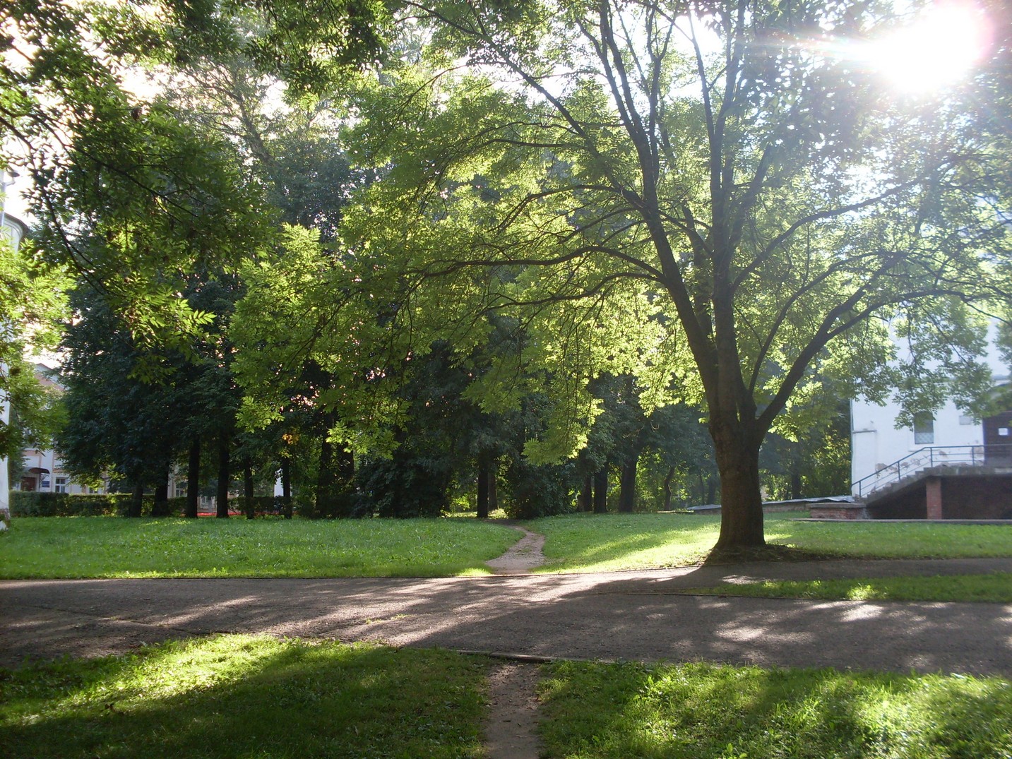 SDC15557.jpg
