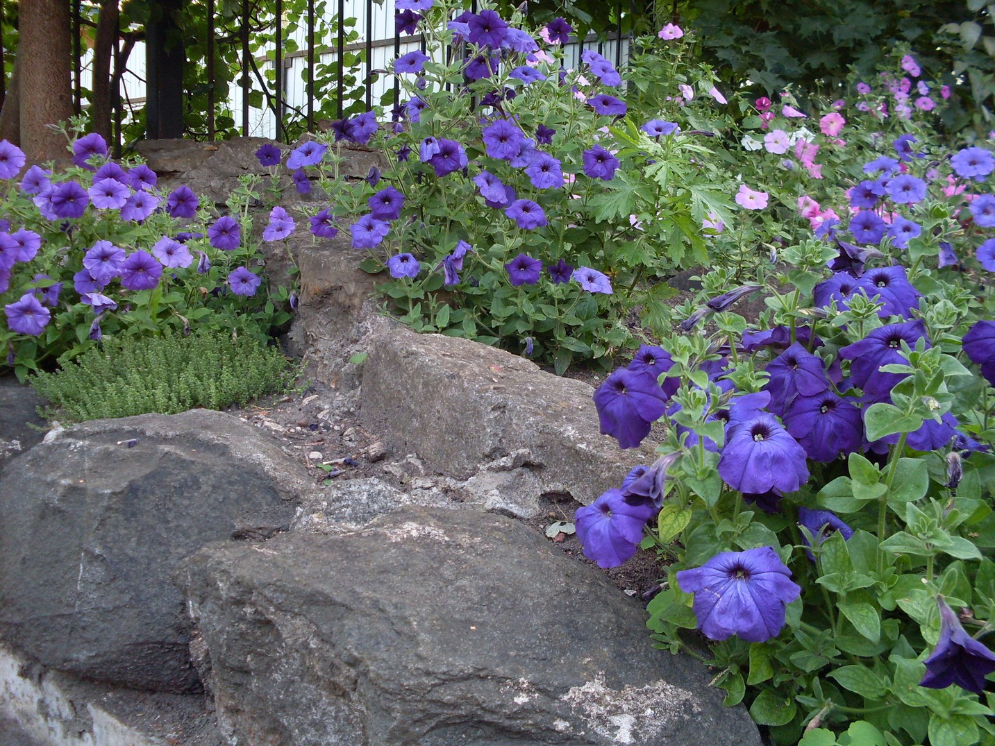 SDC15563.jpg