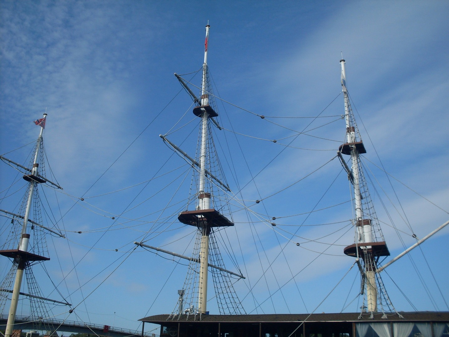 SDC15568.jpg