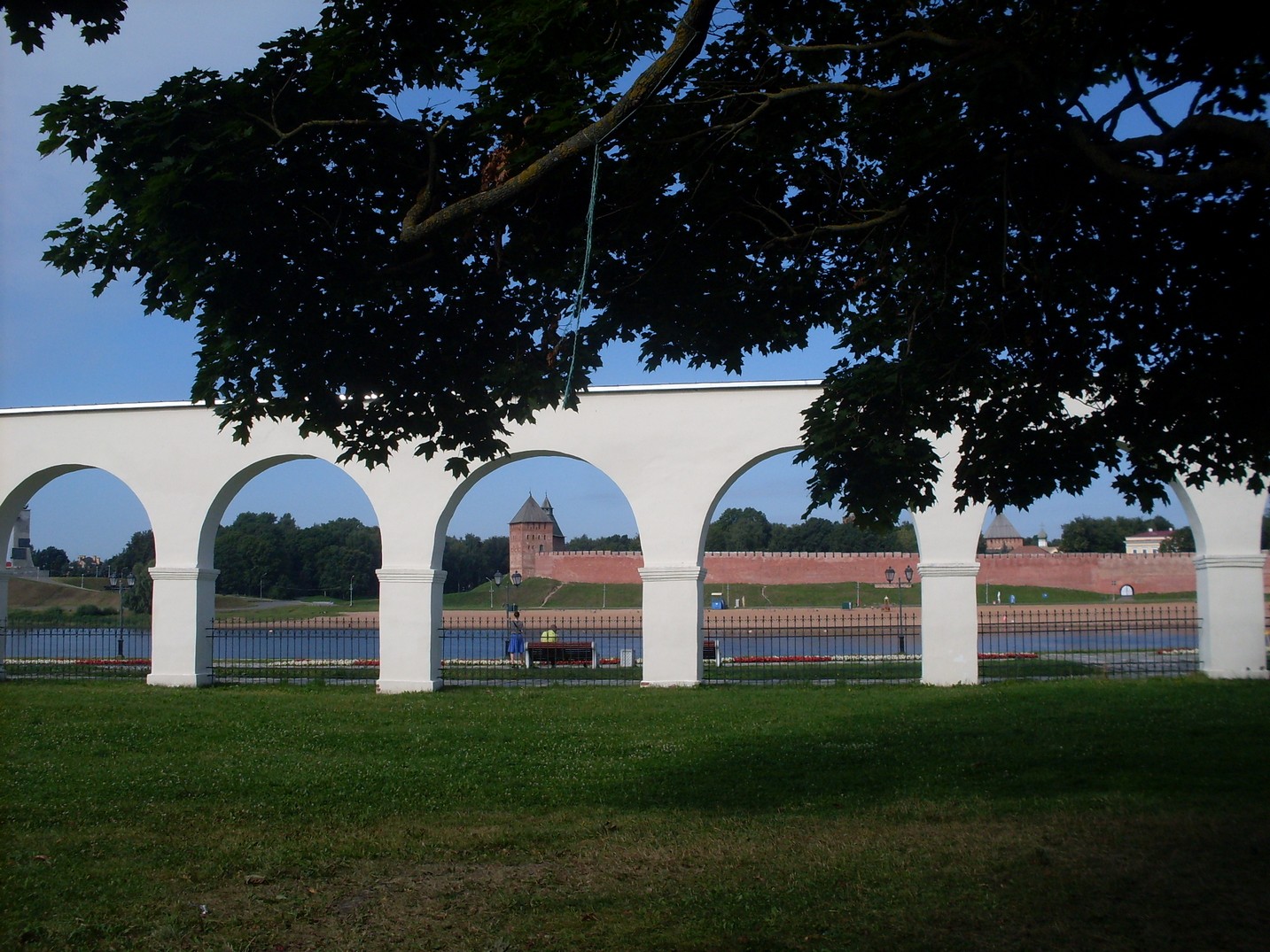 SDC15576.jpg
