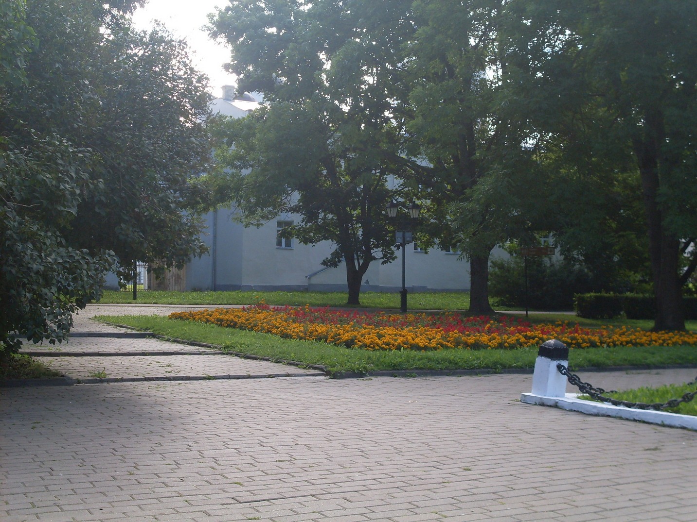 SDC15581.jpg