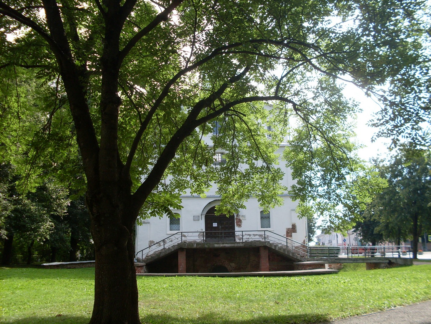SDC15651.jpg