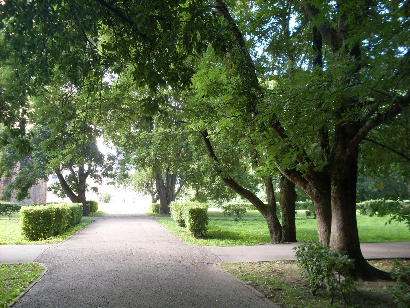 SDC15654.jpg