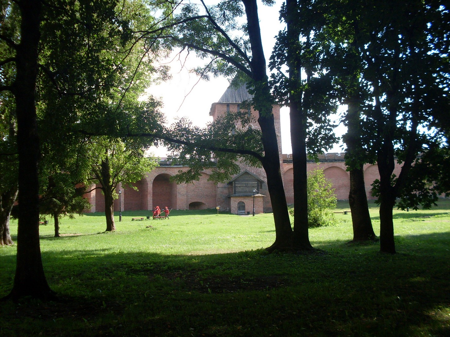 SDC15707.jpg