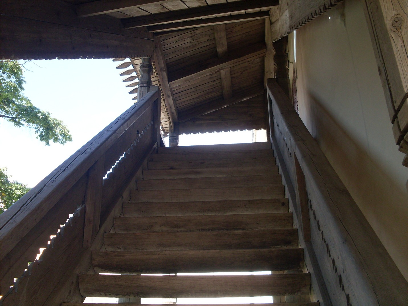 SDC15762.jpg