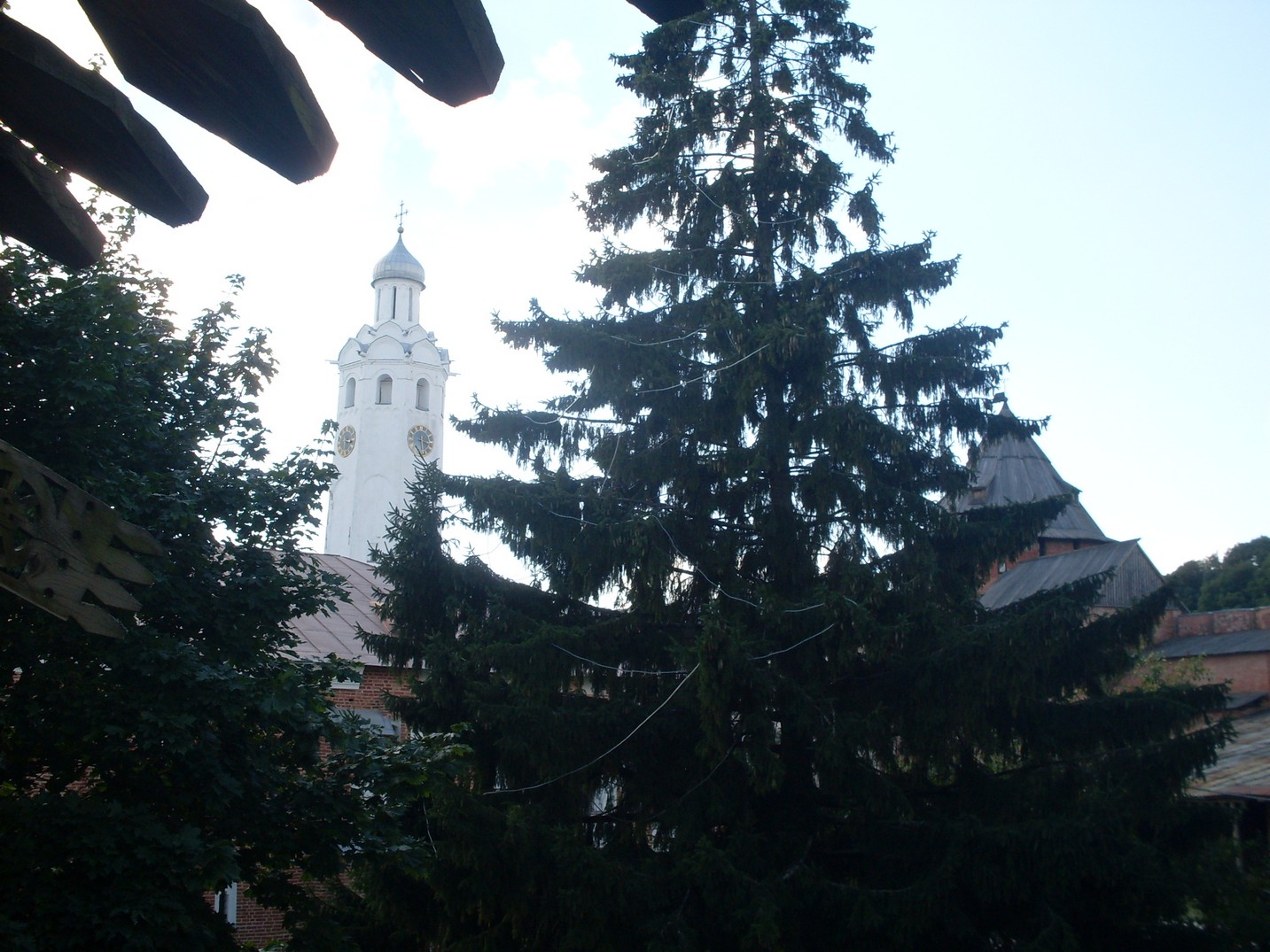 SDC15764.jpg