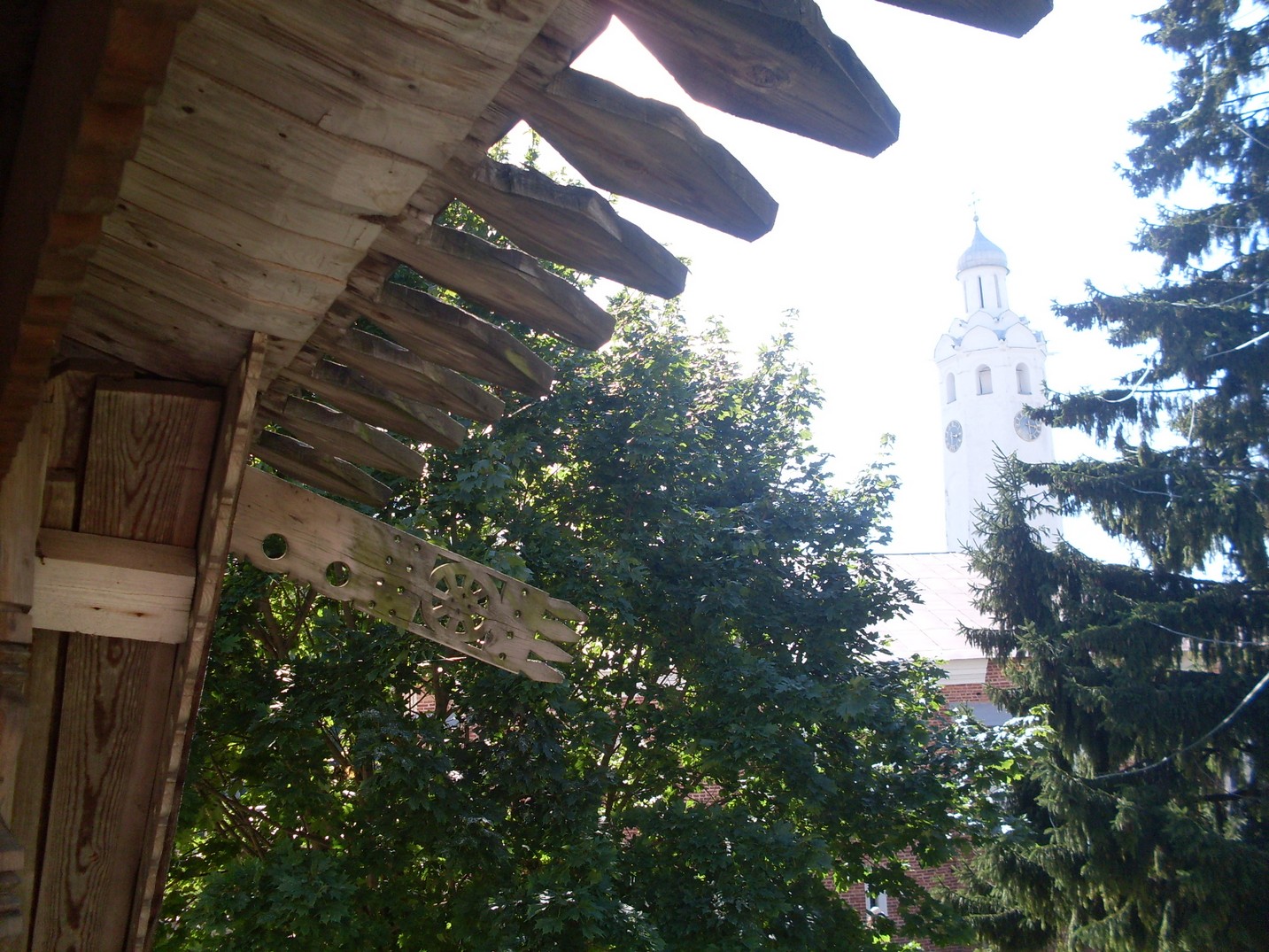 SDC15769.jpg