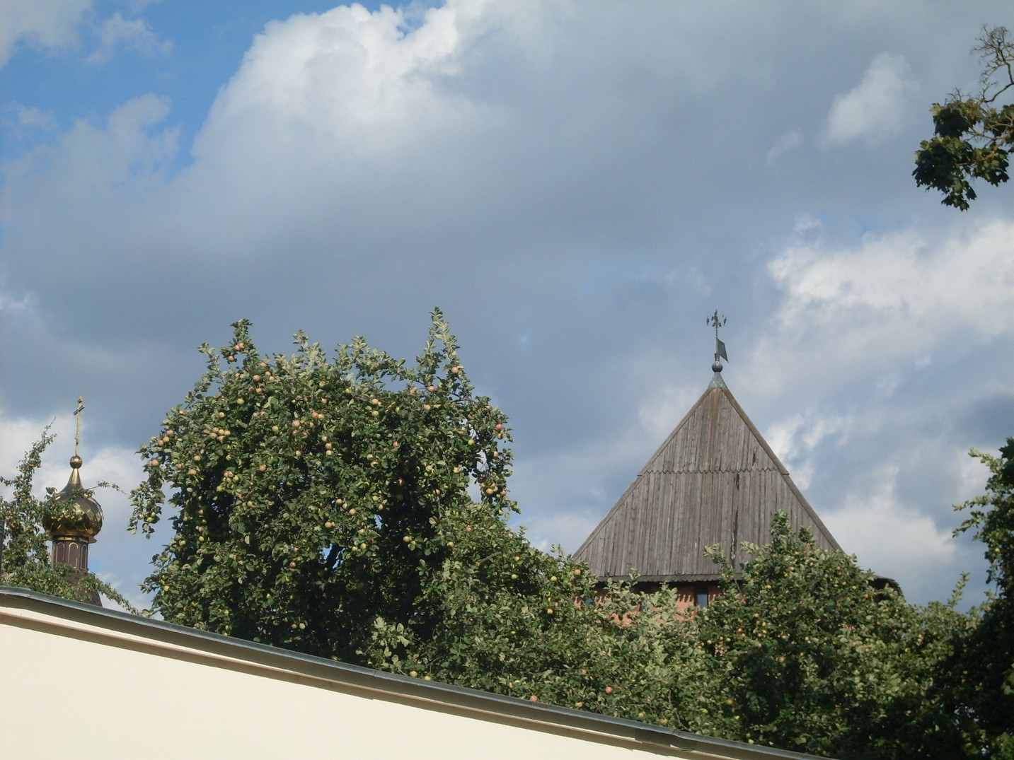 SDC15784.jpg