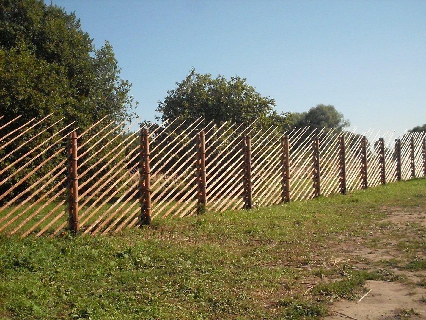 SDC15831.jpg