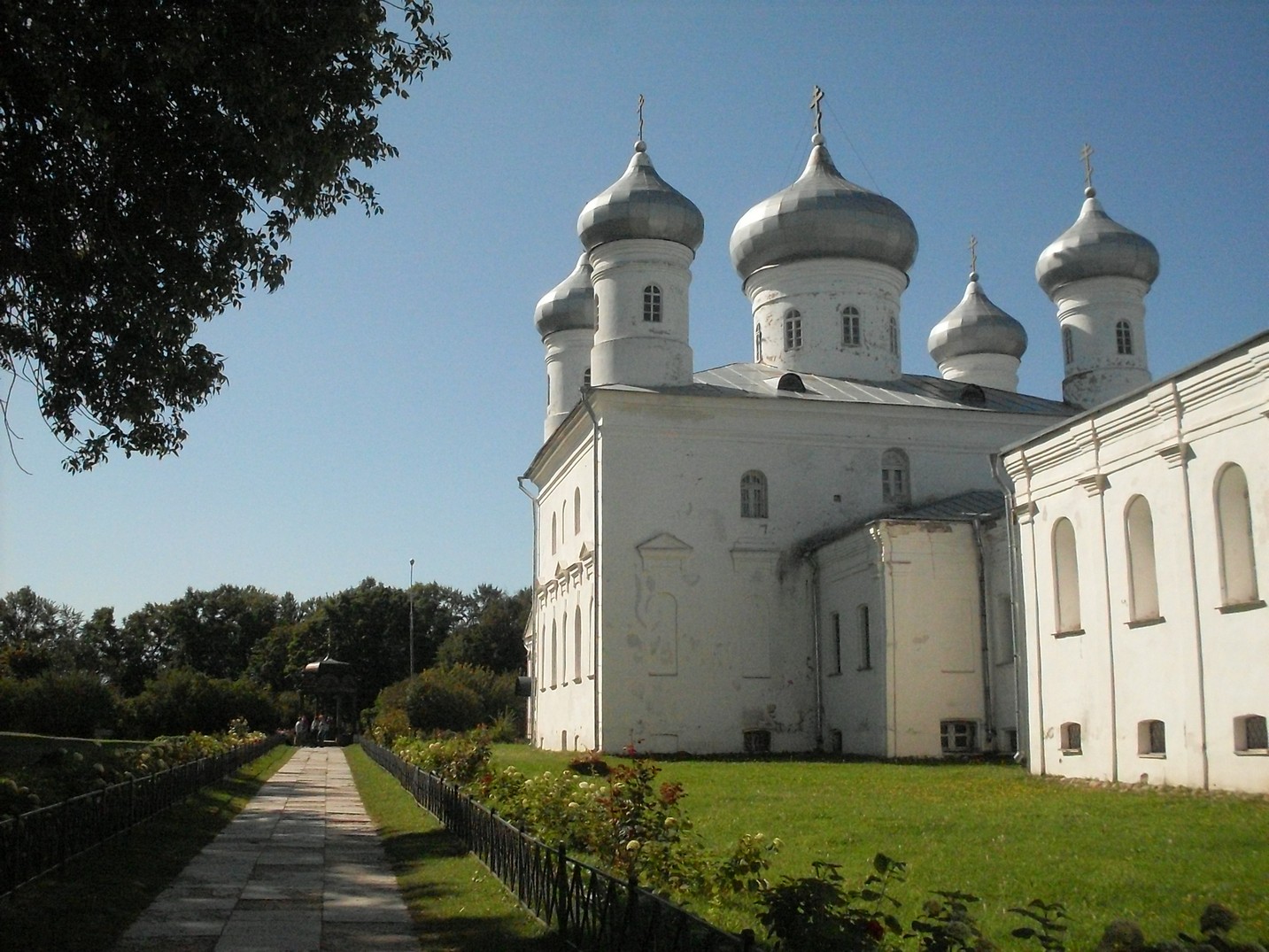 SDC15842.jpg