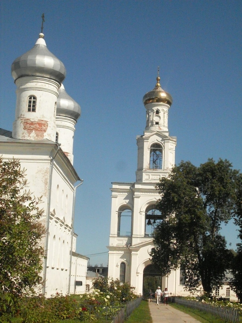 SDC15845.jpg