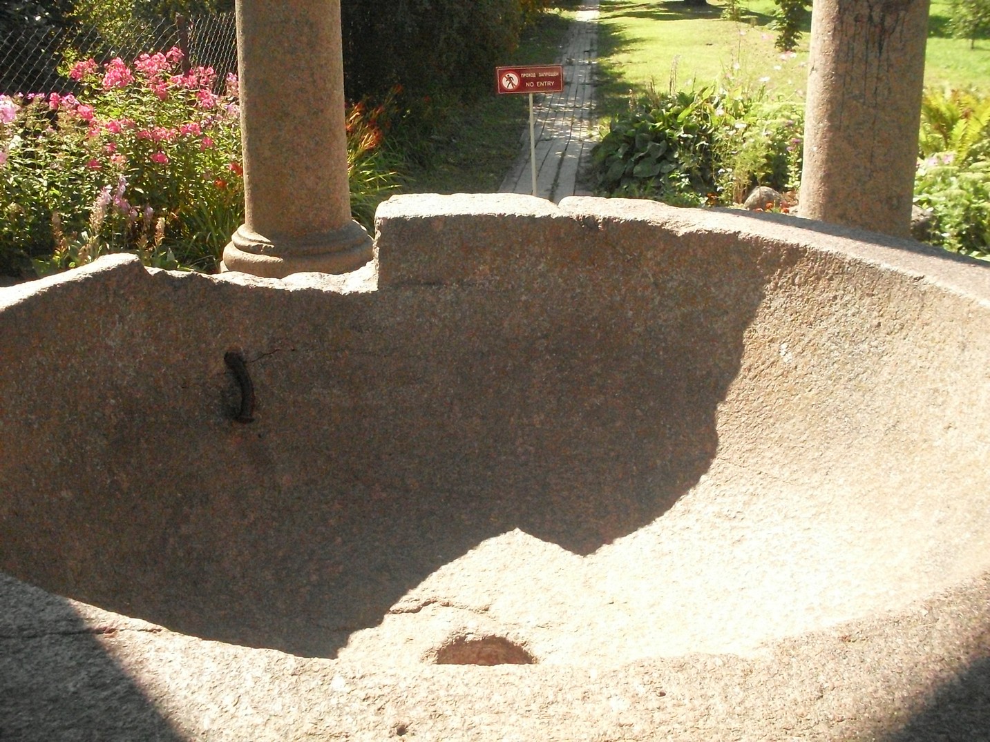 SDC15850.jpg