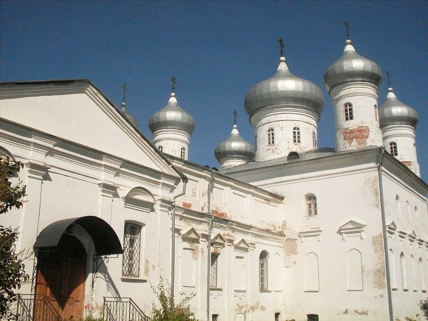 SDC15853.jpg