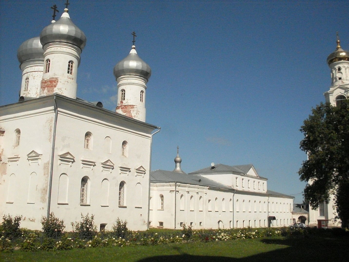 SDC15858.jpg