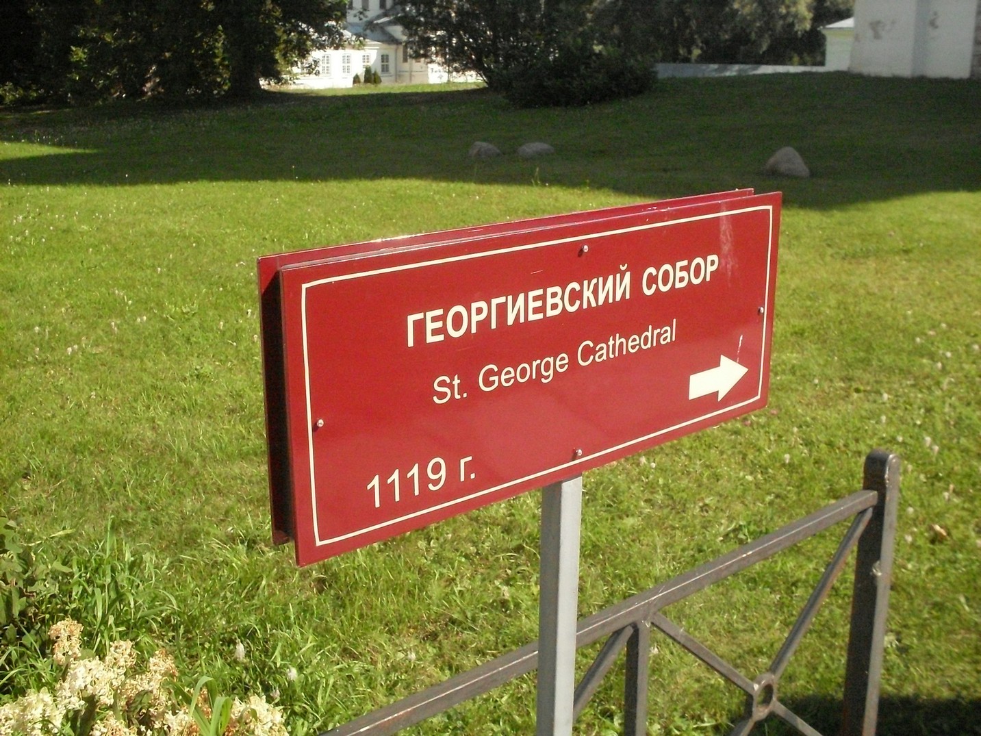 SDC15859.jpg