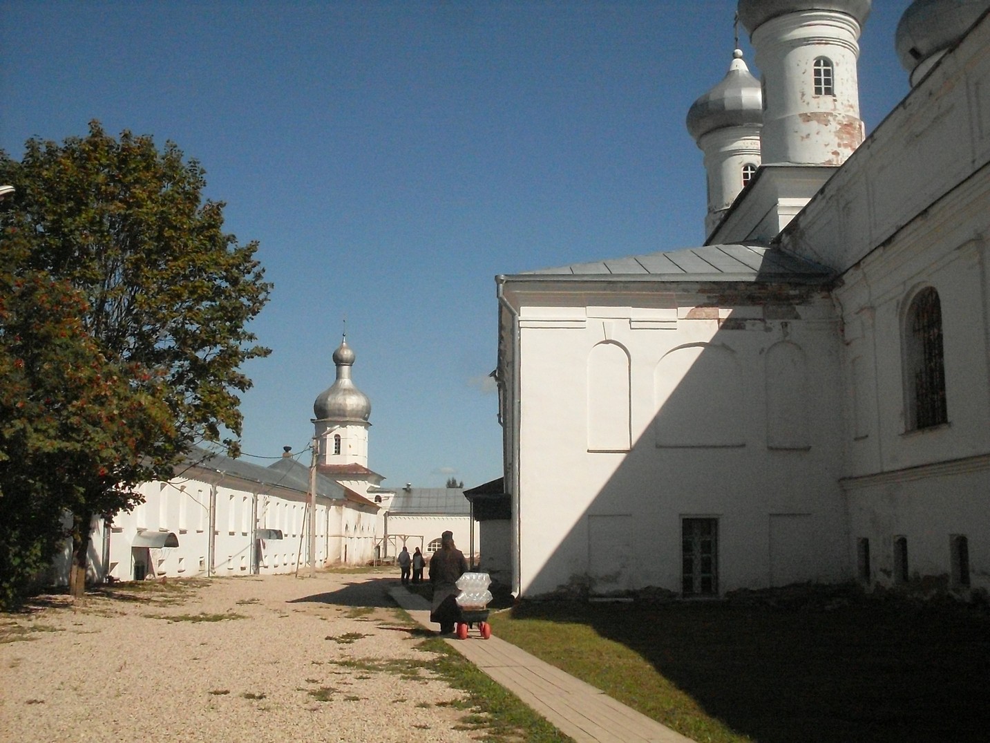 SDC15860.jpg