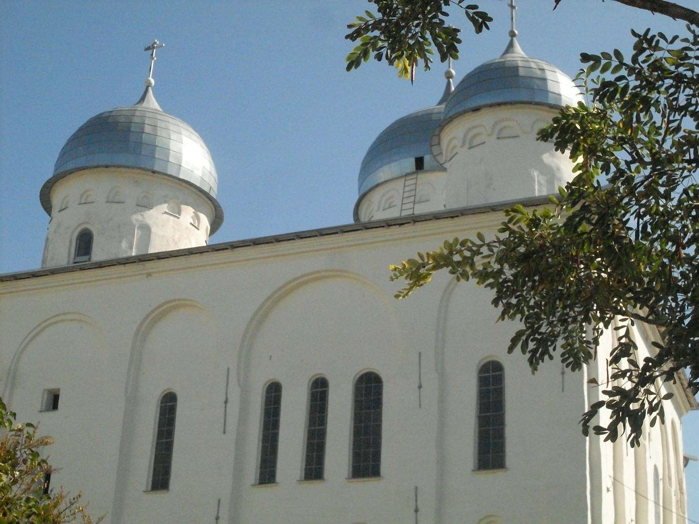SDC15864.jpg