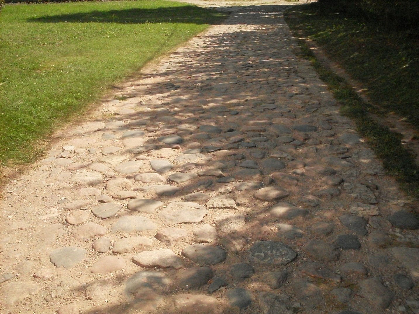 SDC15869.jpg