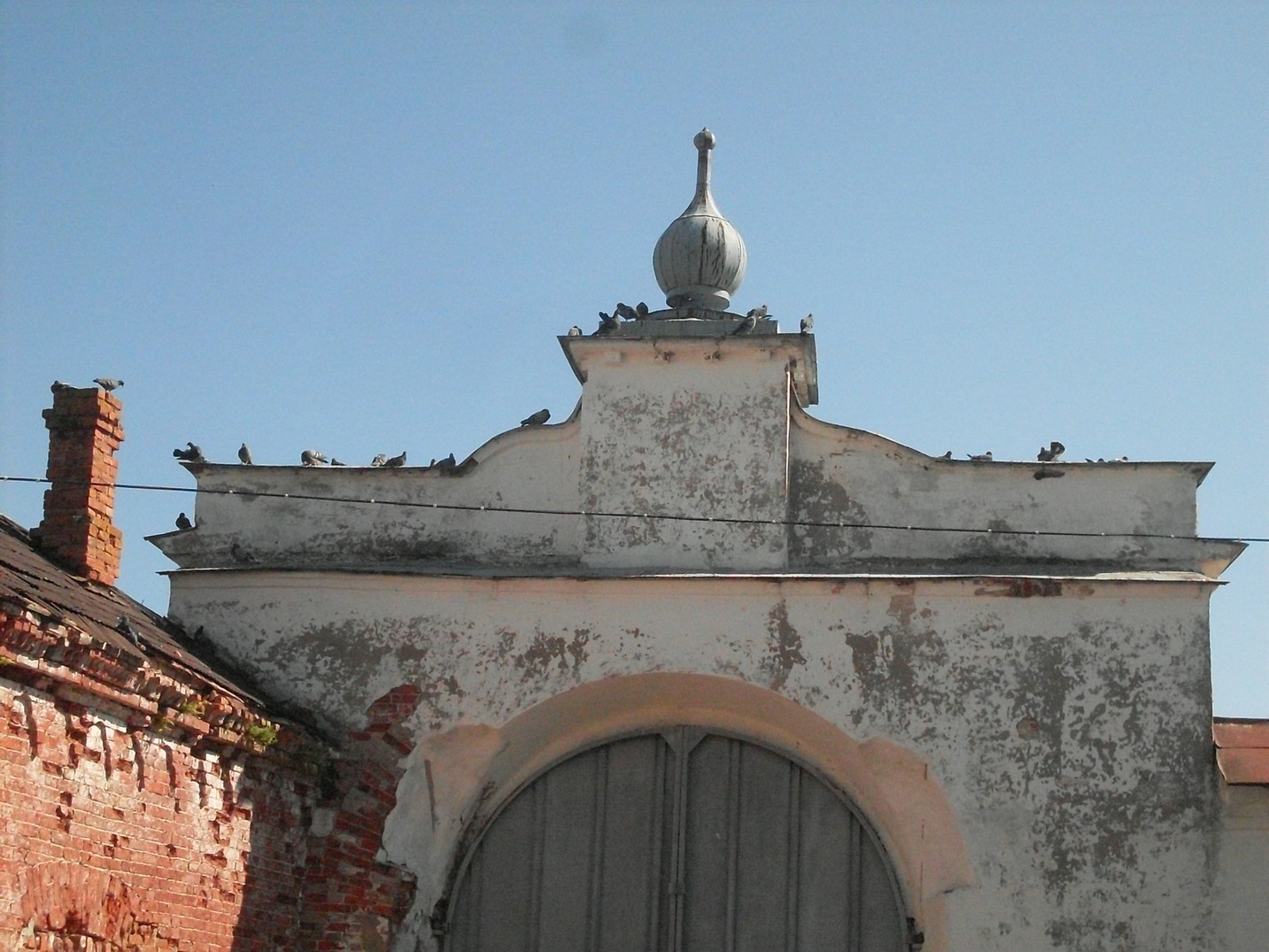 SDC15874.jpg