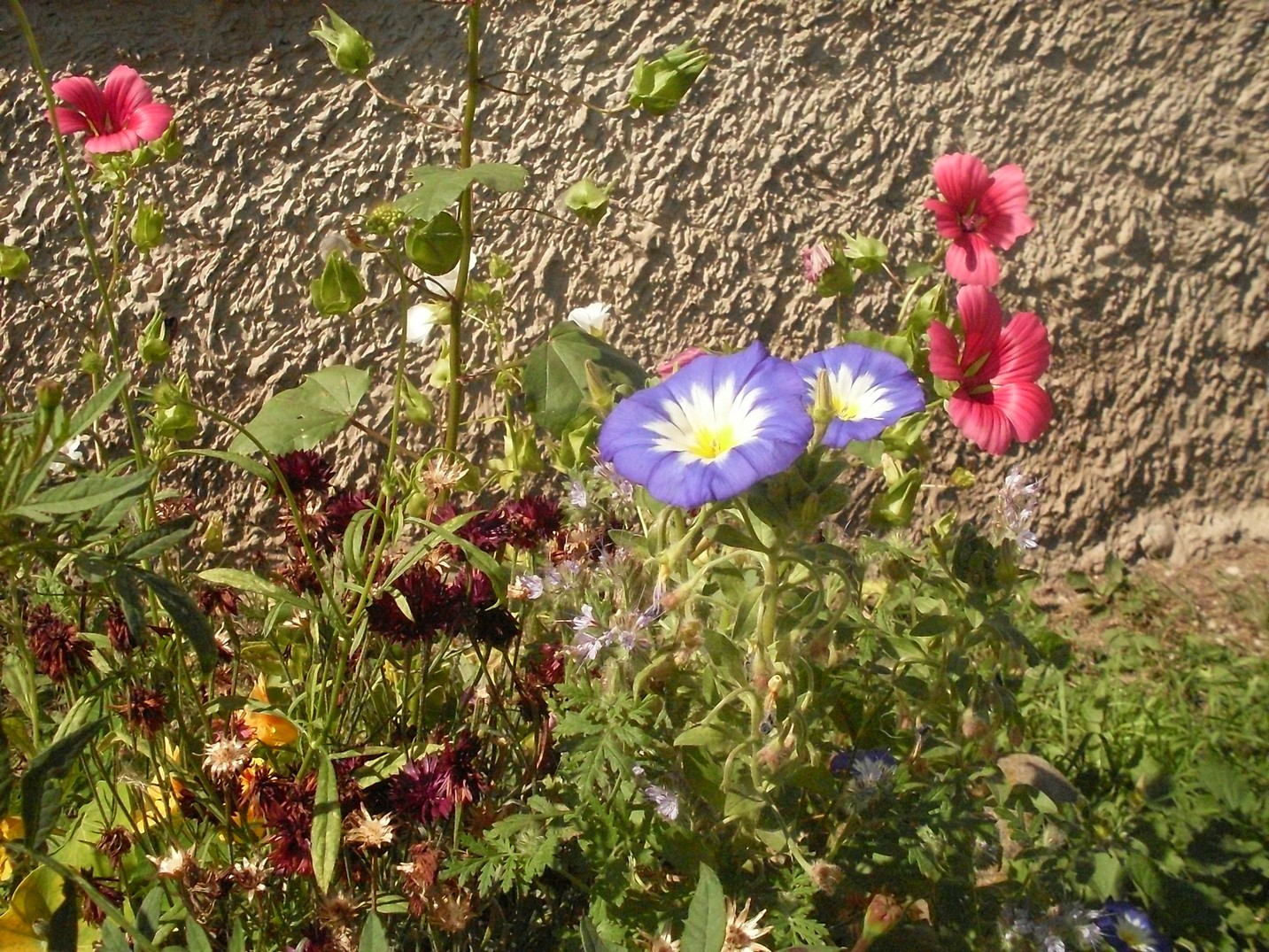 SDC15880.jpg