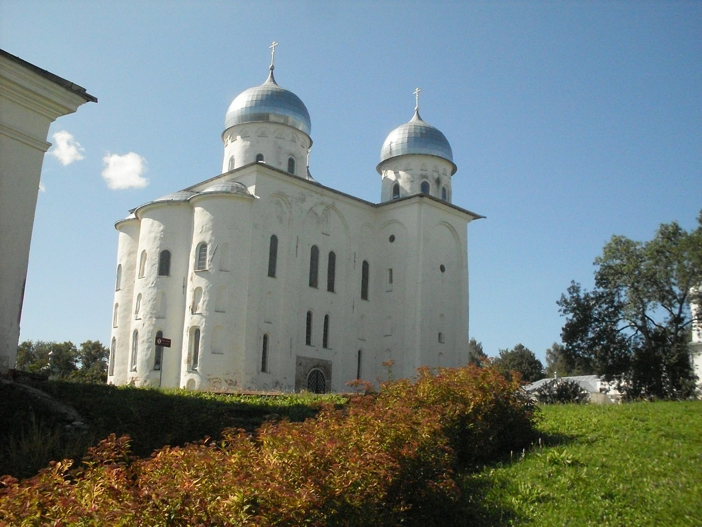 SDC15881.jpg