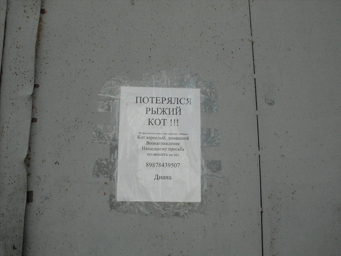 SDC15890.jpg