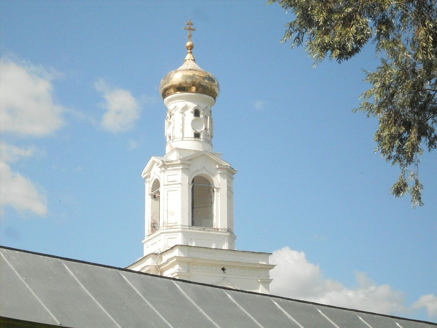 SDC15894.jpg
