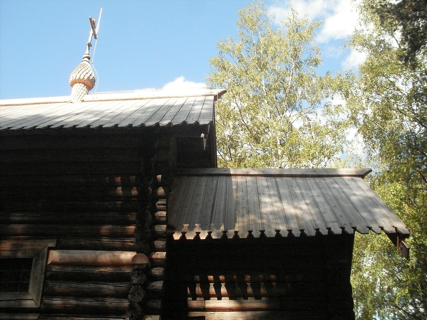 SDC15906.jpg