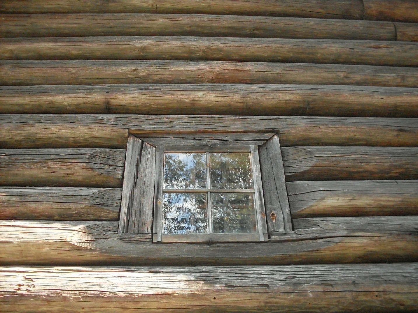 SDC15914.jpg