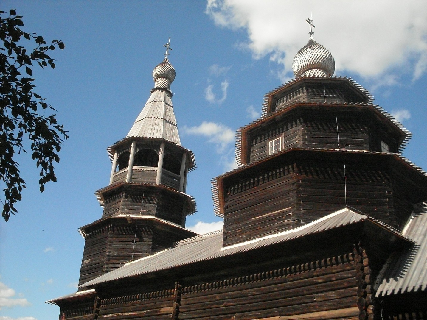 SDC15917.jpg