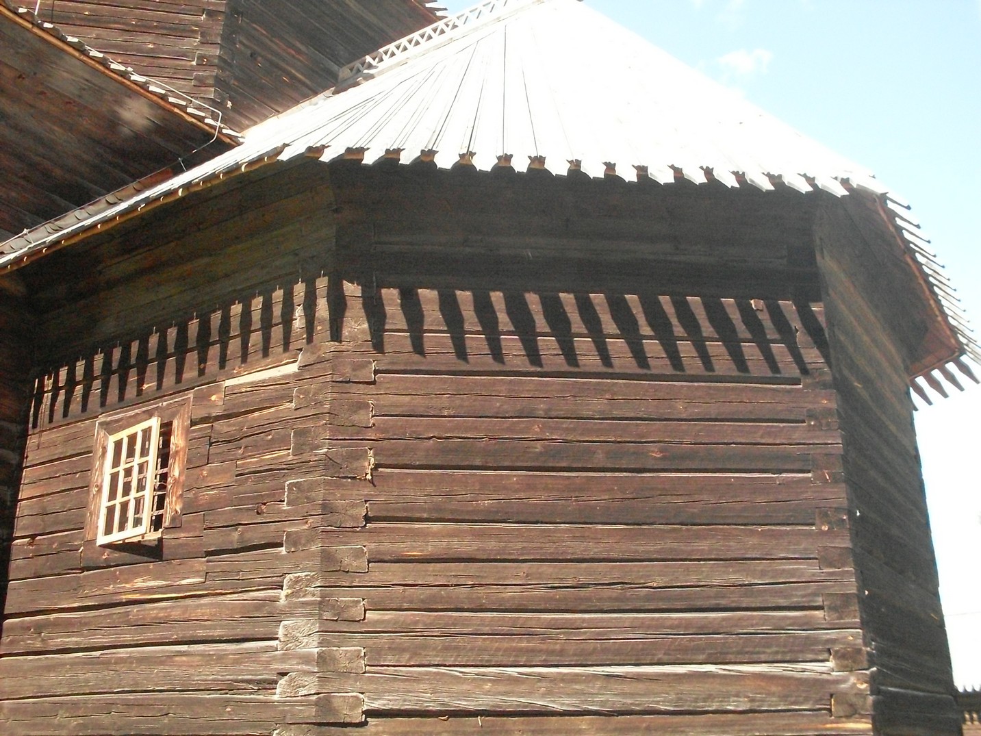 SDC15920.jpg