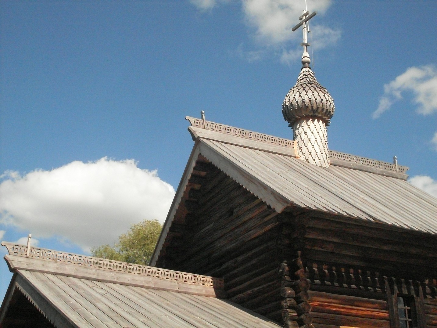SDC15929.jpg