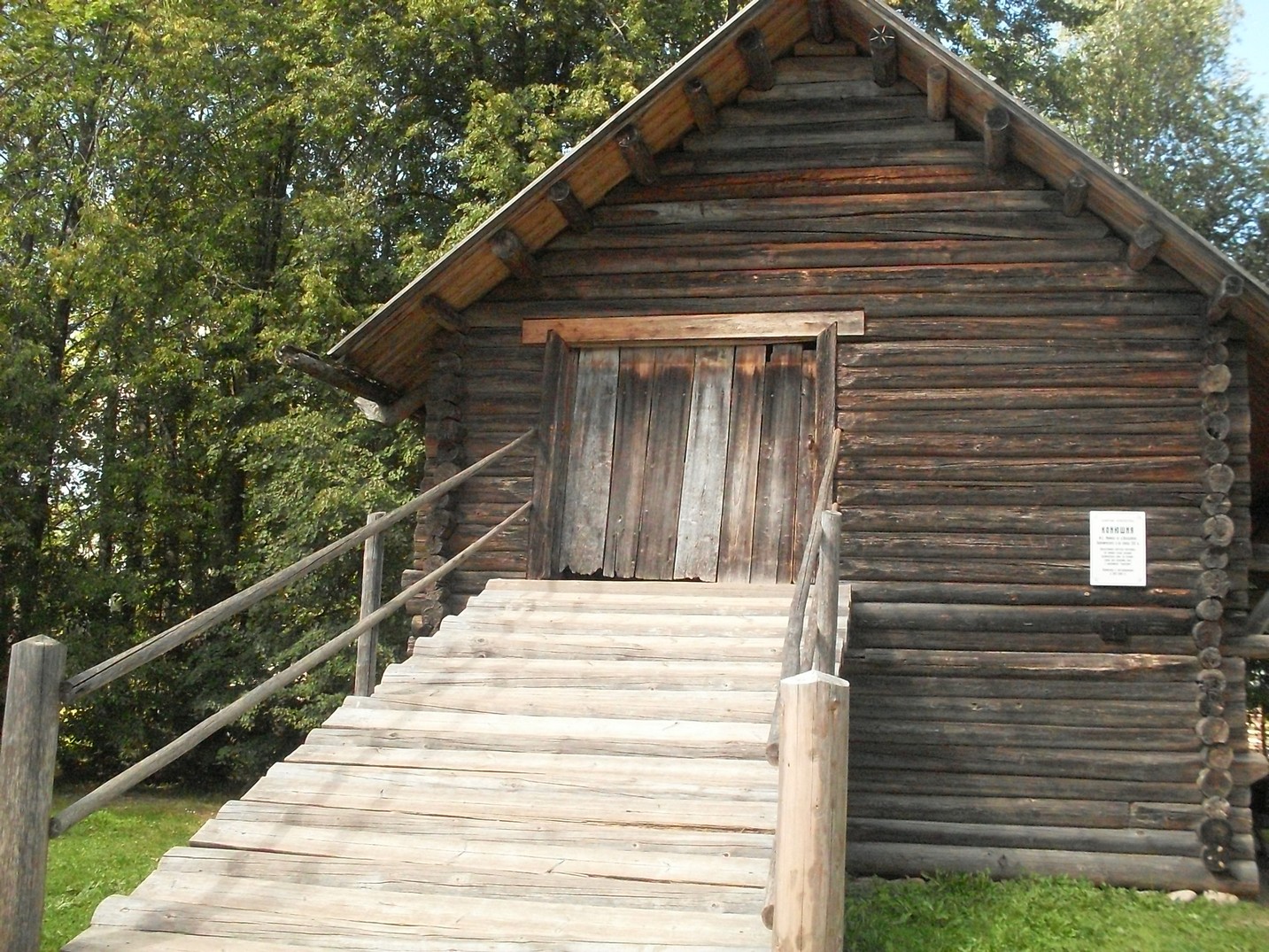 SDC16013.jpg