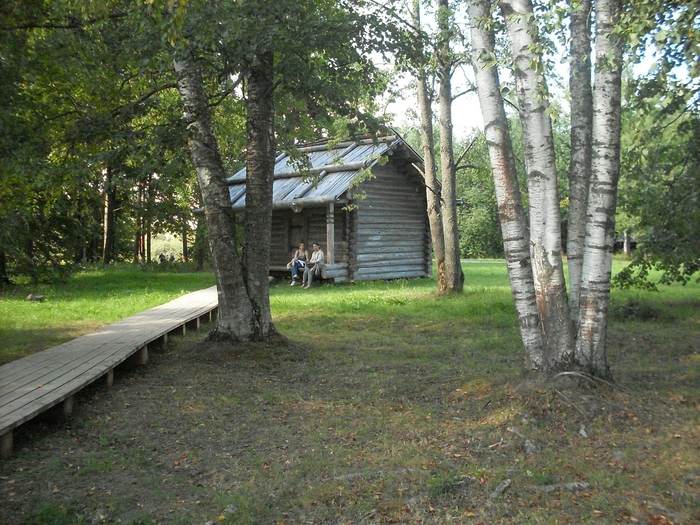 SDC16031.jpg
