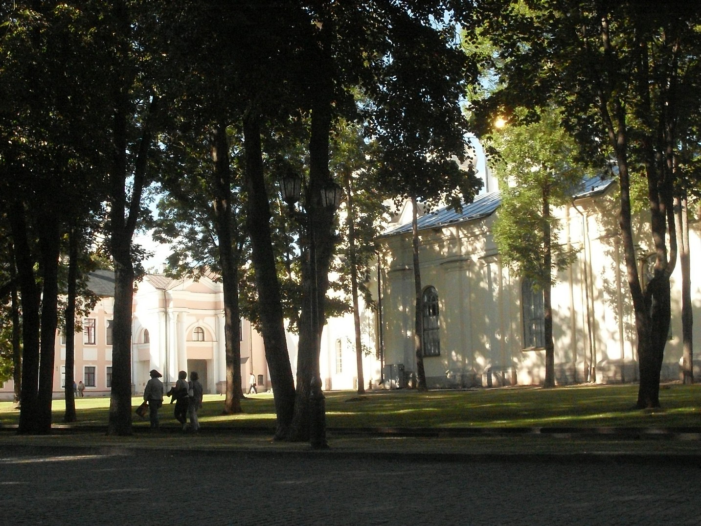 SDC16037.jpg
