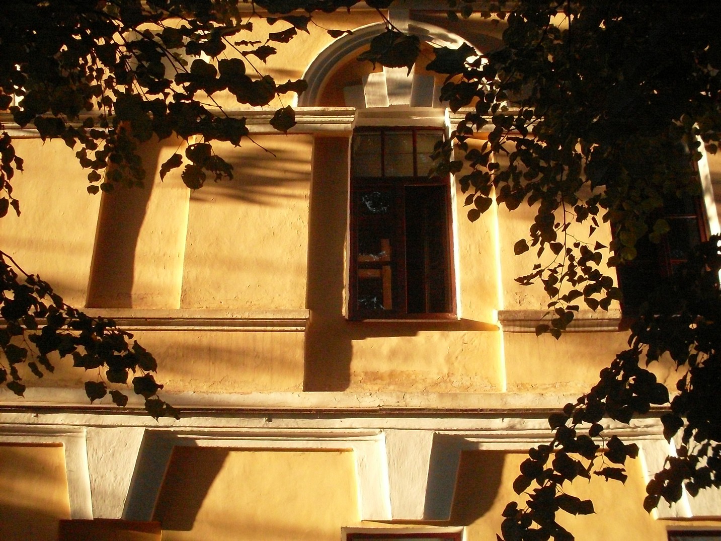 SDC16052.jpg