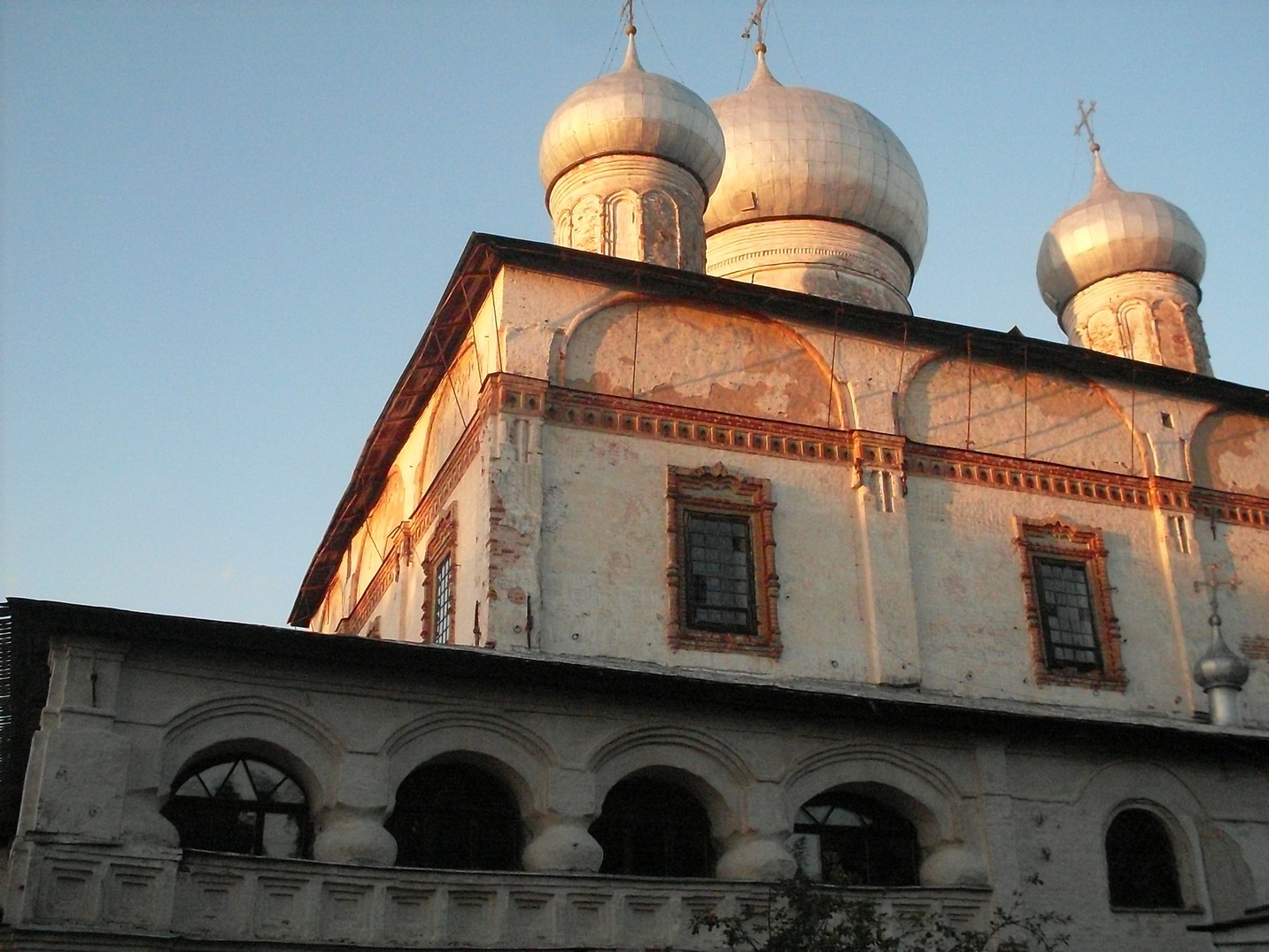 SDC16098.jpg