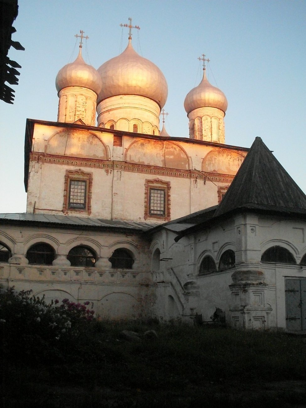 SDC16113.jpg