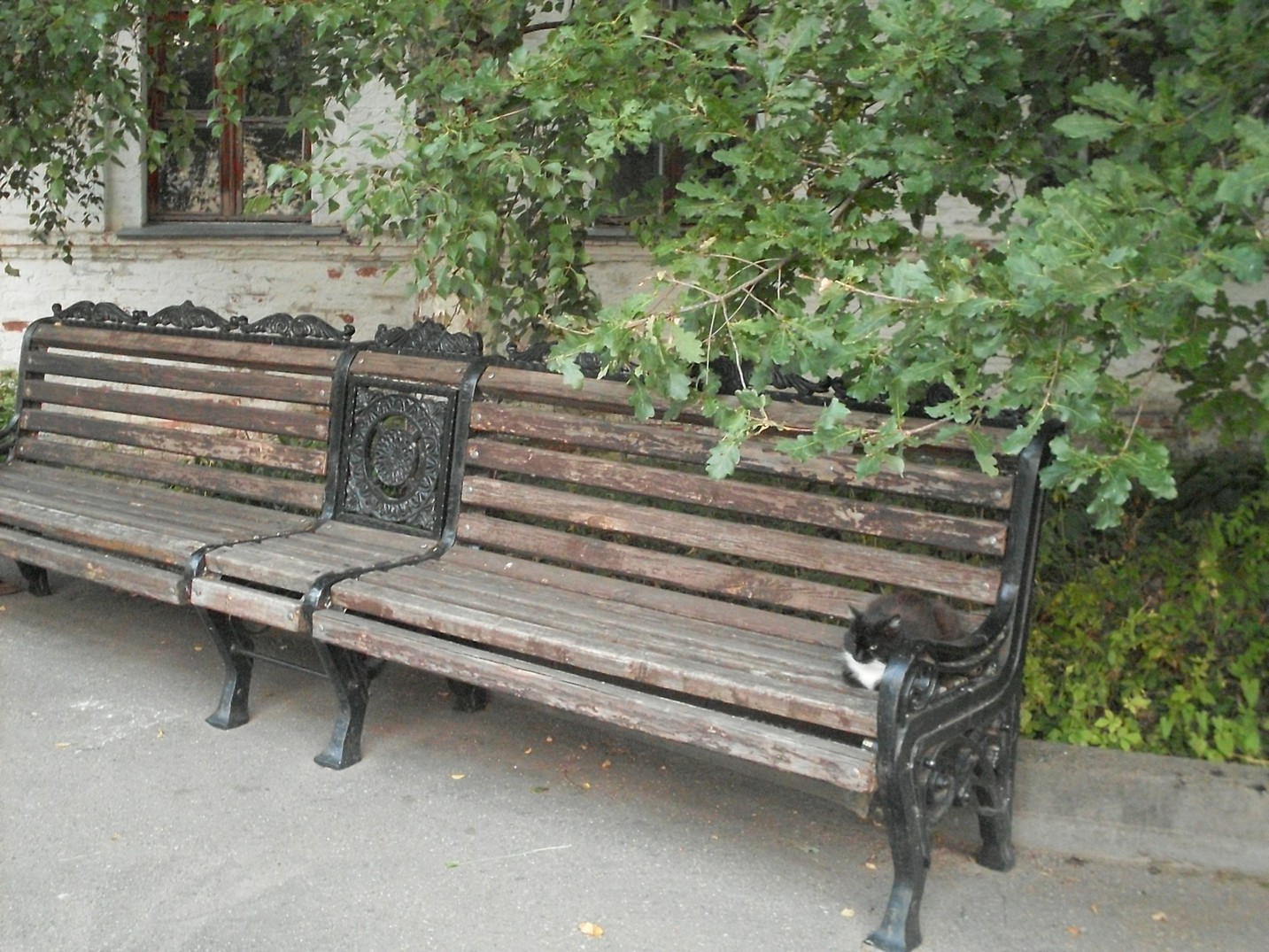 SDC16116.jpg