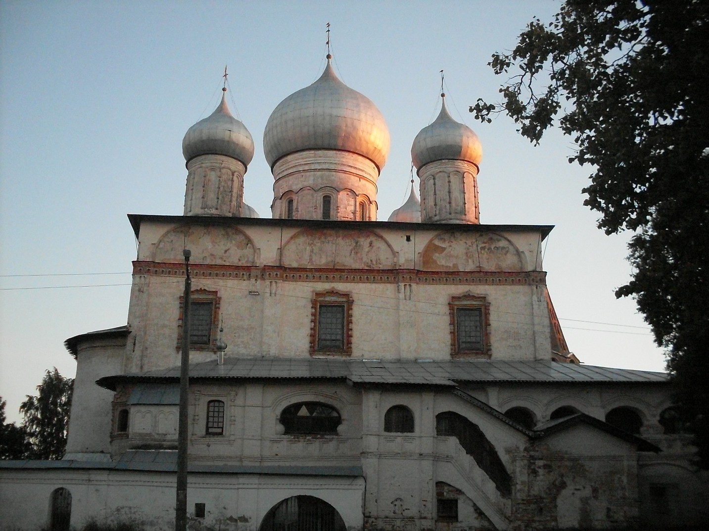 SDC16132.jpg