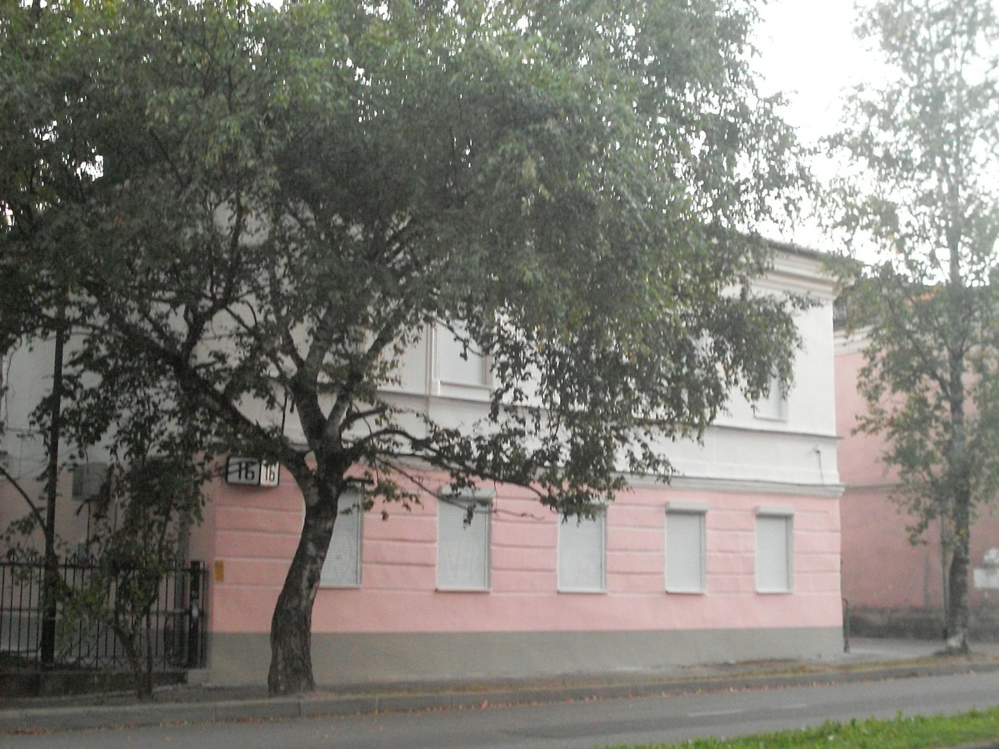 SDC16155.jpg