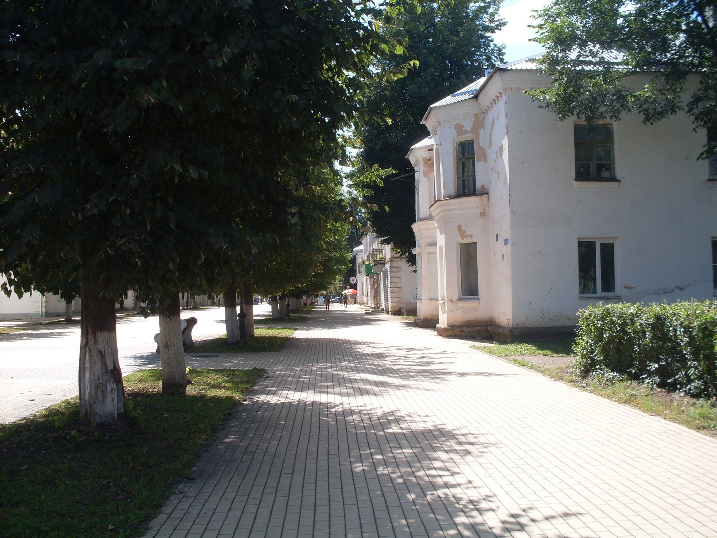 SDC16175.jpg