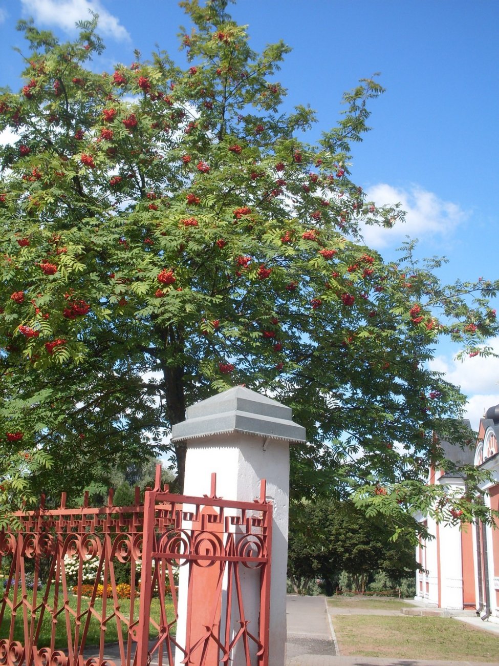 SDC16193.jpg