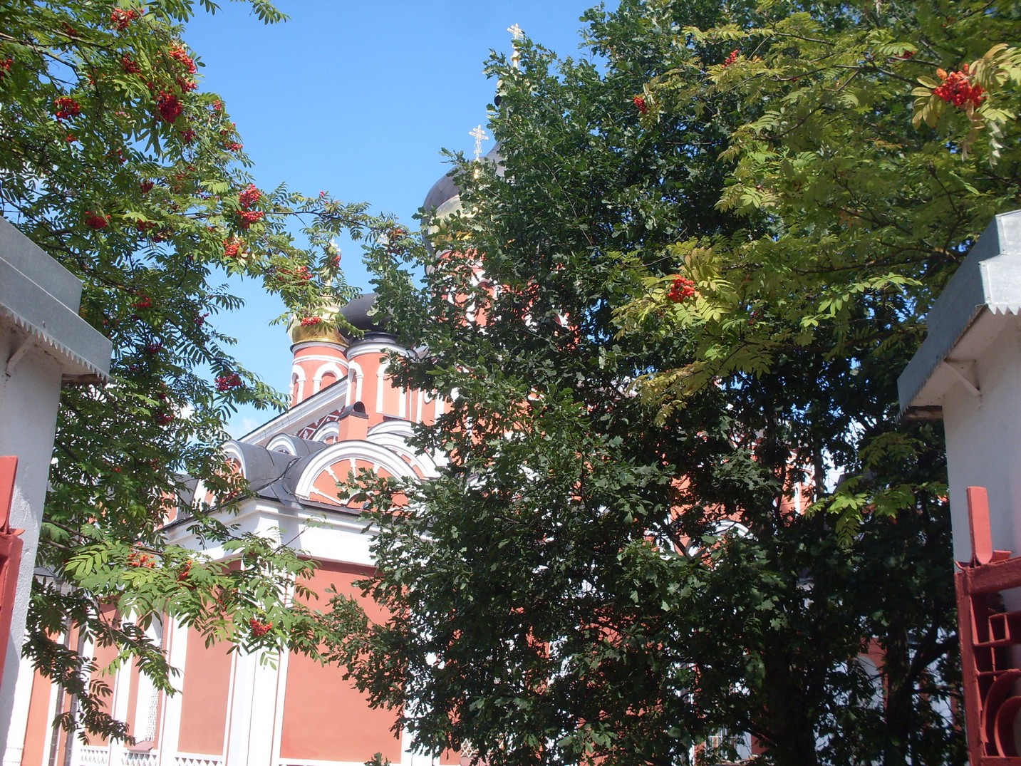 SDC16194.jpg