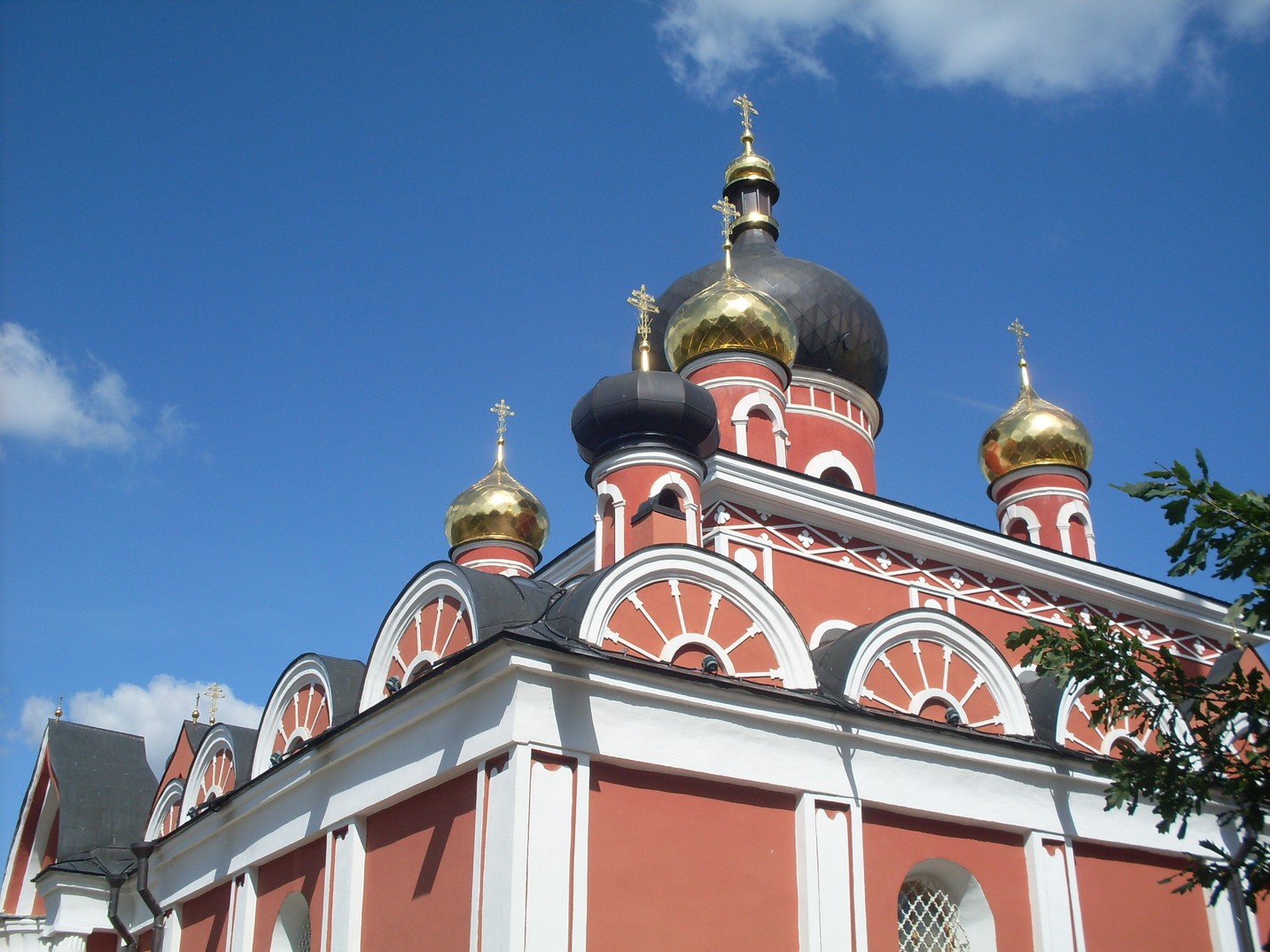 SDC16195.jpg