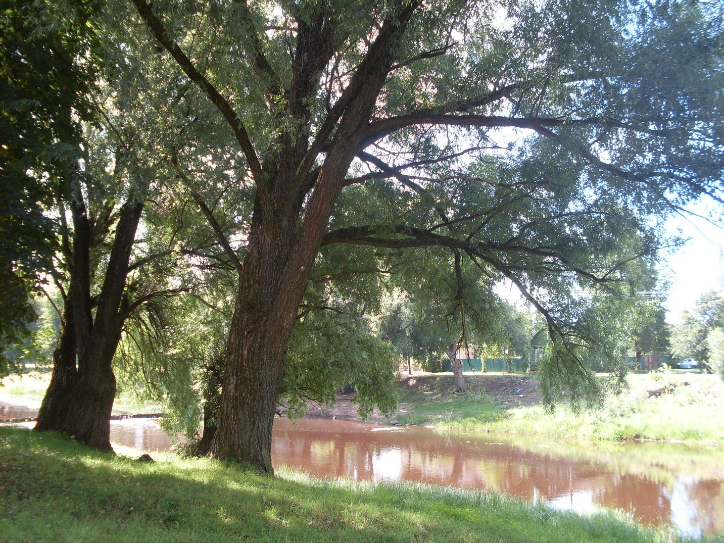 SDC16205.jpg