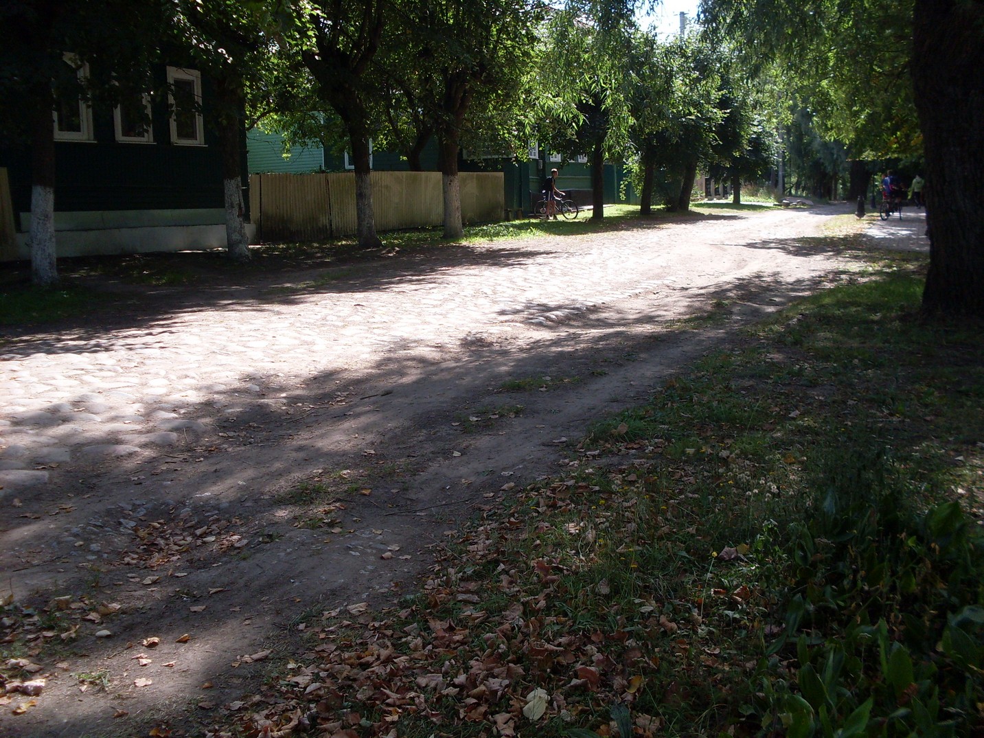 SDC16208.jpg