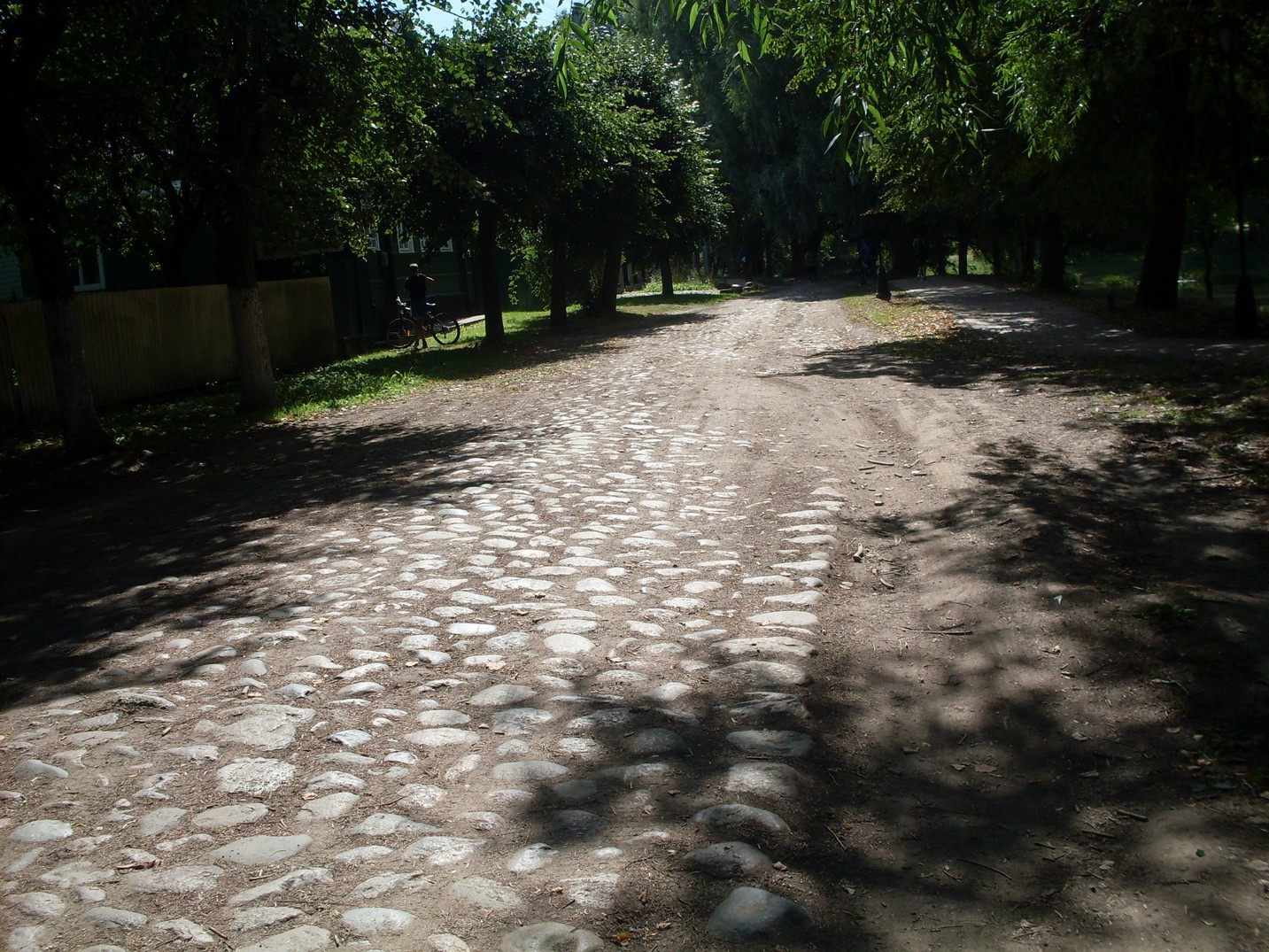 SDC16209.jpg